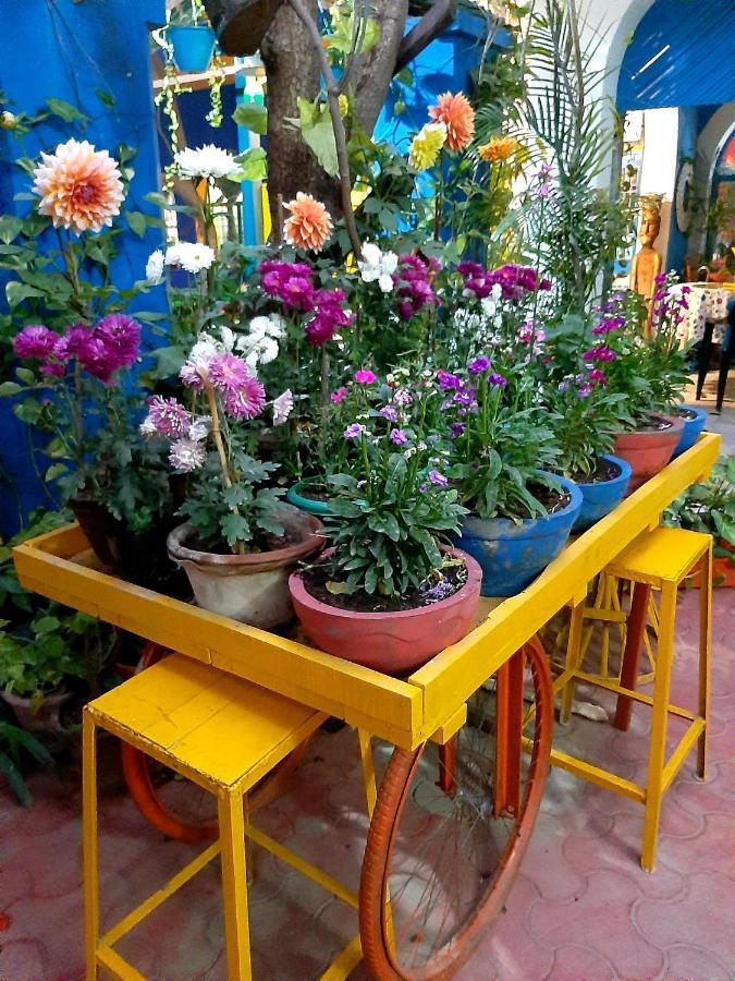 The Coral House Homestay By The Taj Agra  Dış mekan fotoğraf