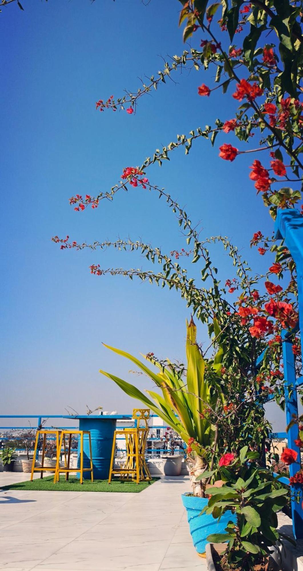 The Coral House Homestay By The Taj Agra  Dış mekan fotoğraf